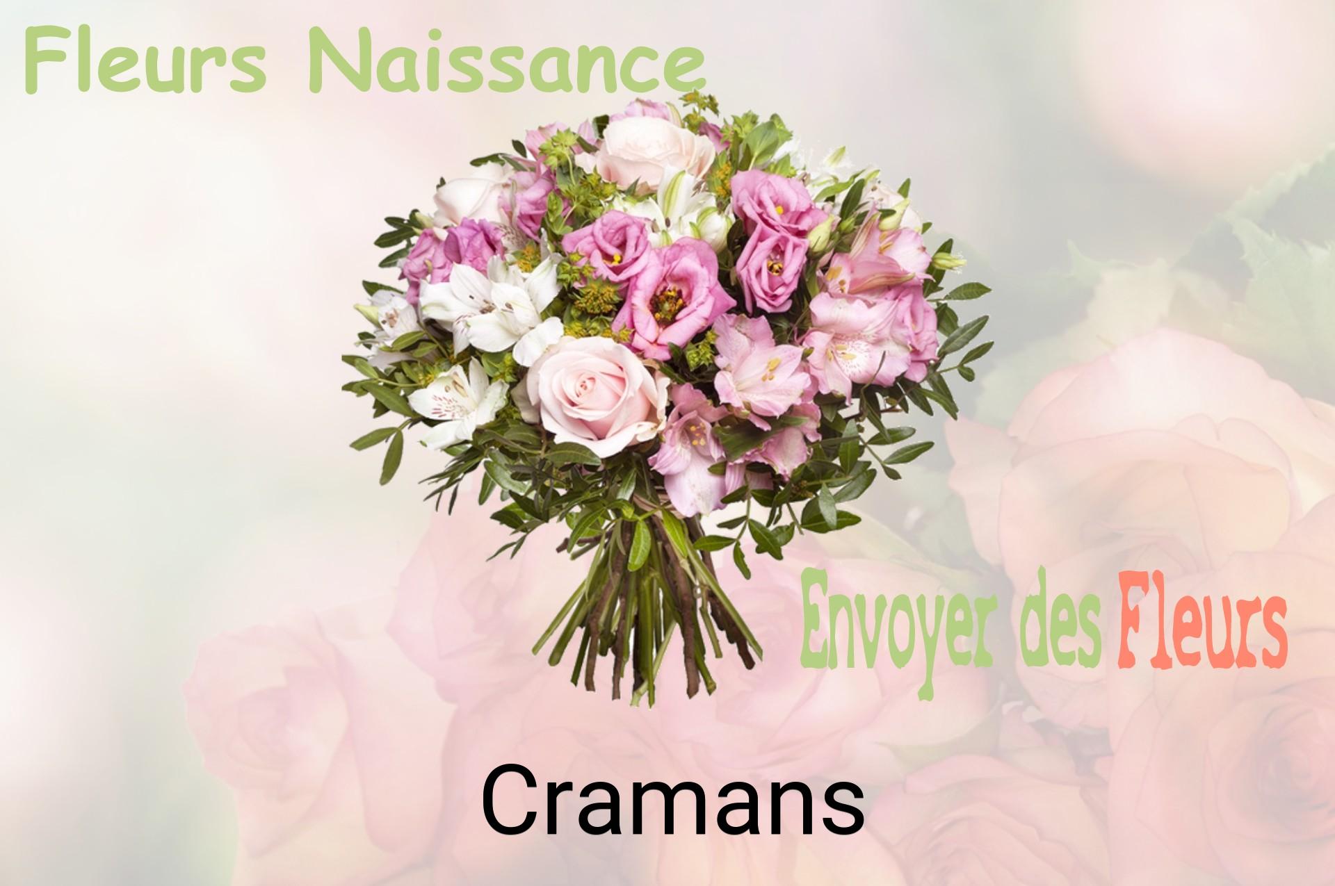 Bouquet de fleurs de naissance livré à Cramans