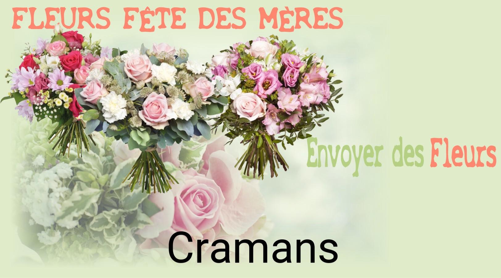 Bouquet de Fête des Mères livré à Cramans
