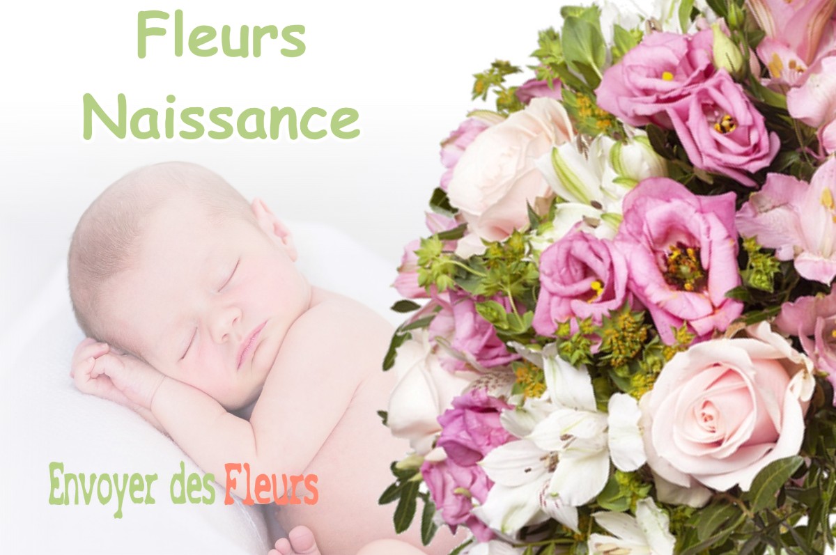 lIVRAISON FLEURS NAISSANCE à CRAMANS